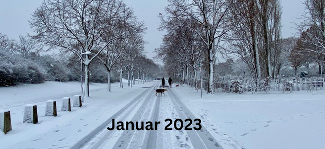 Monatsrückblick Januar 2023: Ausmist-Challenge