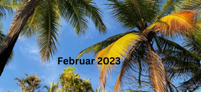Monatsrückblick Februar 2023: Costa Rica