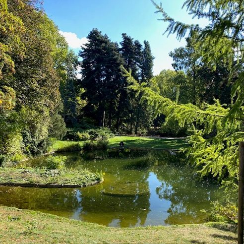 Garten Eden
